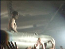   Rammstein   2005